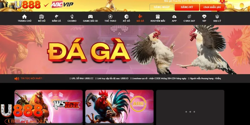 Sảnh đá gà U888 là sân chơi độc đáo
