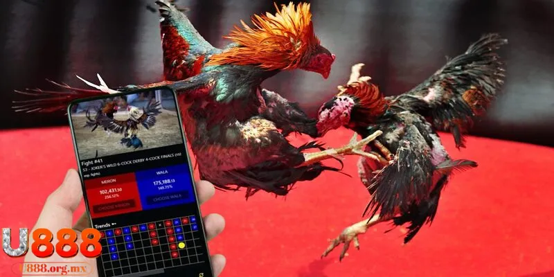 Sơ lược về đá gà online U888
