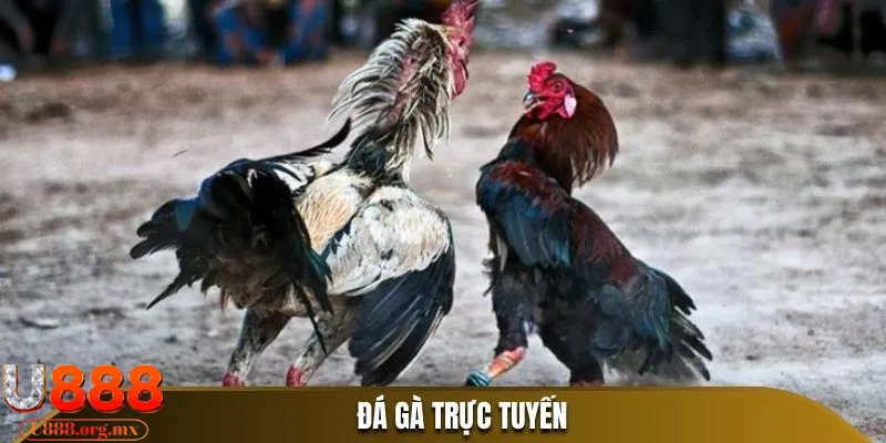 da ga truc tiep U888